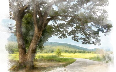 Mary McAfee: A Powerful Holiness Witness