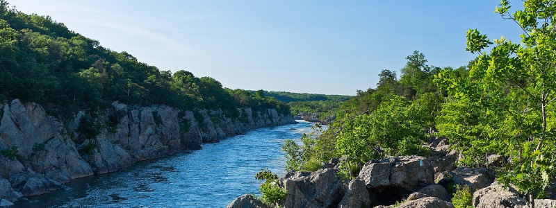Maryland State Convention